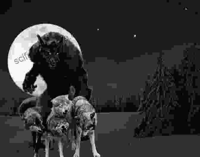 A Fierce Pack Of Werewolves Patrols The Ancient Forests Of Forest Grove Shifted Fate (The Wolves Of Forest Grove 1)