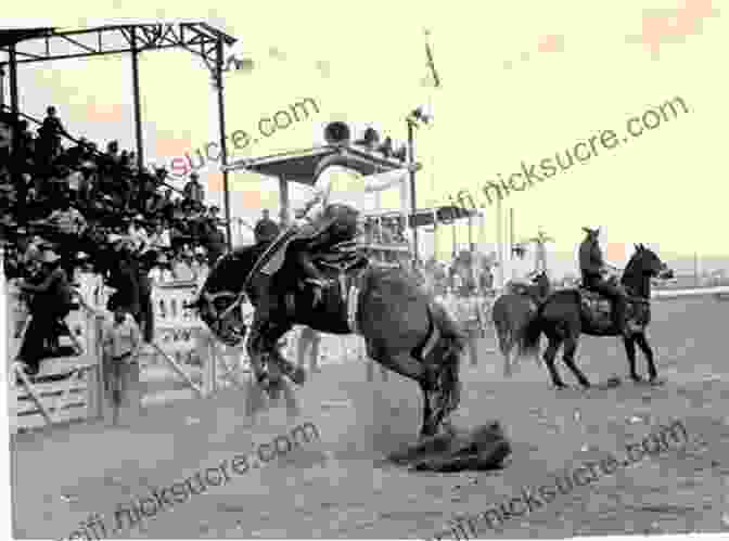 Historical Image Of Cowboys Roping Cattle During A Rodeo In The 1900s How To Start Rodeo For Beginners: Collection Of Rodeo History Facts And Guide