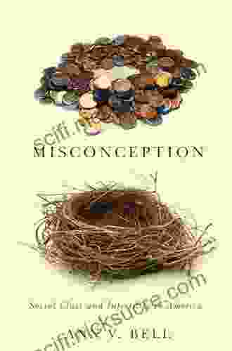 Misconception: Social Class And Infertility In America (Families In Focus)