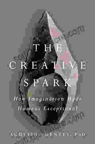 The Creative Spark: How Imagination Made Humans Exceptional